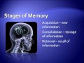 Improve Memory Power | Ways to Improve Memory | How to Improve Memory